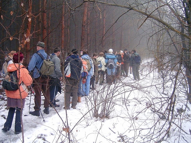 20100220 018.jpg